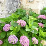 Fachwerkhaus Gitealienor Perigord By Interhome *