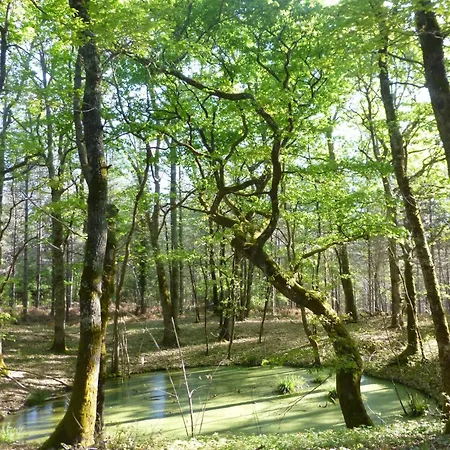 Prázdninový dům Fachwerkhaus Gitealienor Perigord By Interhome